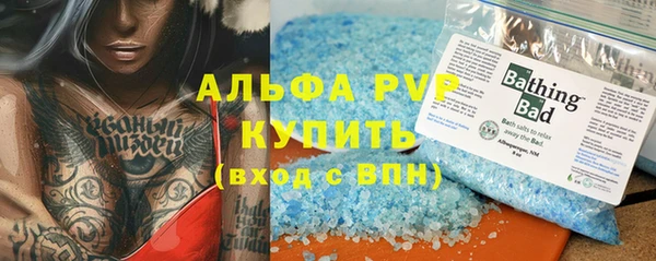 стафф Алексин